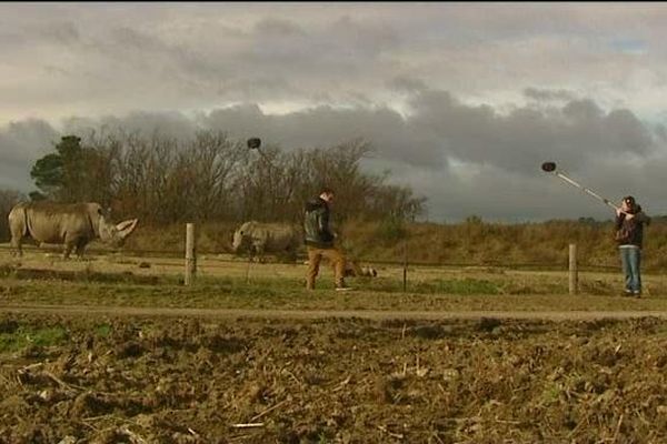 Les deux ingénieurs du son captent le moindre souffle, le moindre cri