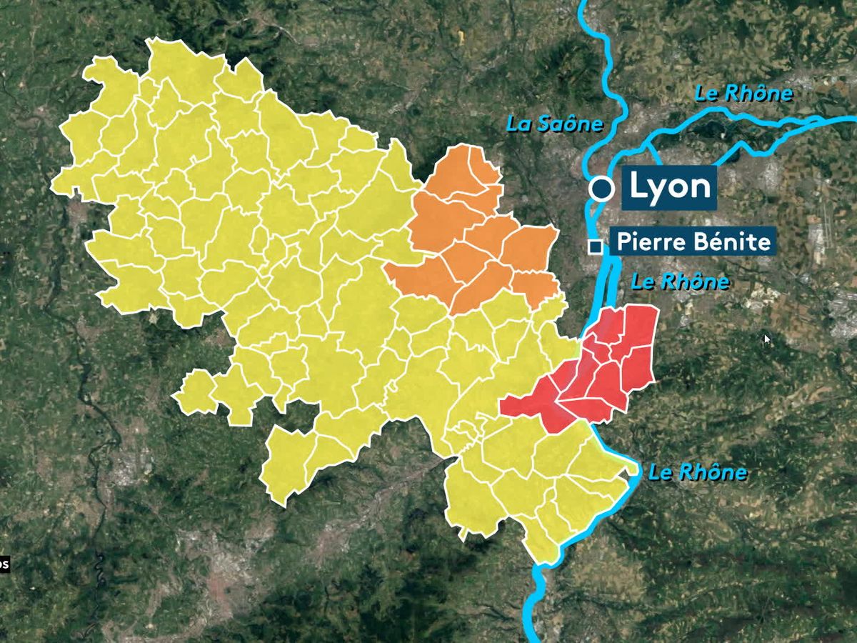 carte de lyon