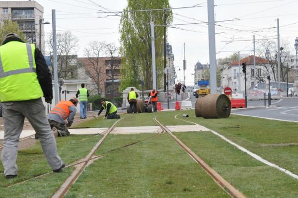 Installation de gazon