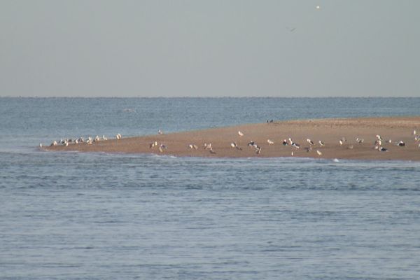 Du jeudi 31 août au lundi 4 septembre 2023, de forts coefficients de marée sont attendus sur le littoral de la Manche.