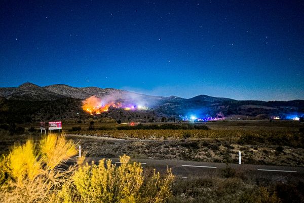 Le feu a pris au sein du parc animalier Ecozonia vers 20h30 jeudi 23 novembre 2023.