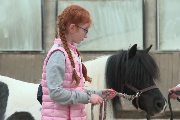 Découvrir la ferme, c'est aussi découvrir les animaux.