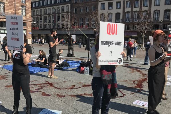 Une vingtaine de militants se sont mobilisés samedi 30 mars à Strasbourg pour dénoncer l'exploitation des animaux marins par l'homme. 