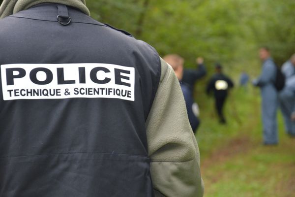 Une femme de 81 ans a été retrouvée morte, le visage violenté "en lisière d'un bois près d'un chemin" dans une forêt non loin de Blois. Image d'illustration.