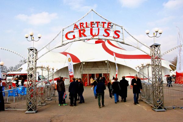 Le cirque Arlette Gruss a dû annuler sa représentation lundi à cause d'une chute de leur chef d'orchestre.