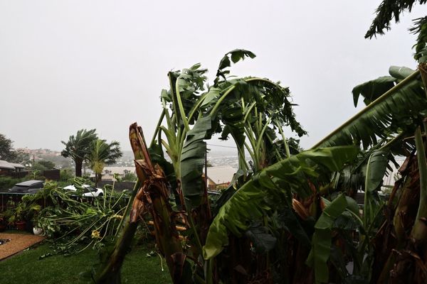 Le cyclone Belal a provoqué des dégâts considérables dans certains secteurs de l'île de La Réunion.