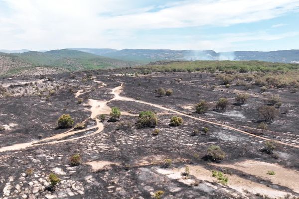 Vue du ciel : 1200 Ha de végétation ont brûlé et 350 personnes ont été évacuées mercredi 27 juillet 2022