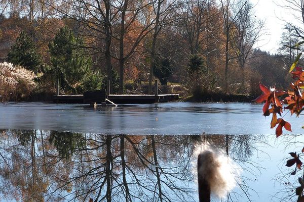  L'étang de Saint-Prix en Saône-et-Loire est gelé 