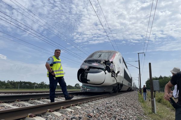 Dans l'Yonne, un TGV Lyon-Rennes a été frappée par un arbre qui bouchait les voies