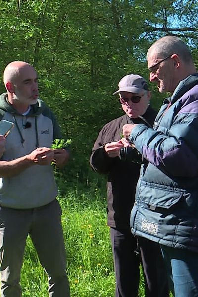 Pour découvrir la nature, un groupe de personnes en situation de handicap s'initie à la cueillette des plantes sauvages.