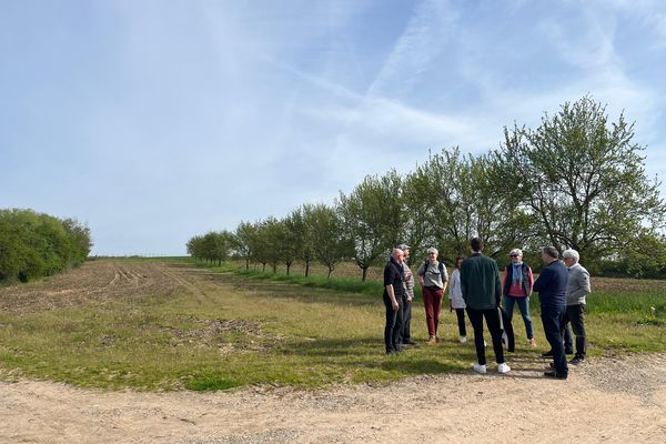 La lutte est enagée entre le collectif anti zone de loisirs de Brumath et le promoteur dont le projet est de bétonniser 7 hectares au nord de la ville pour aménager une zone de loisirs et plus de 600 places de parking