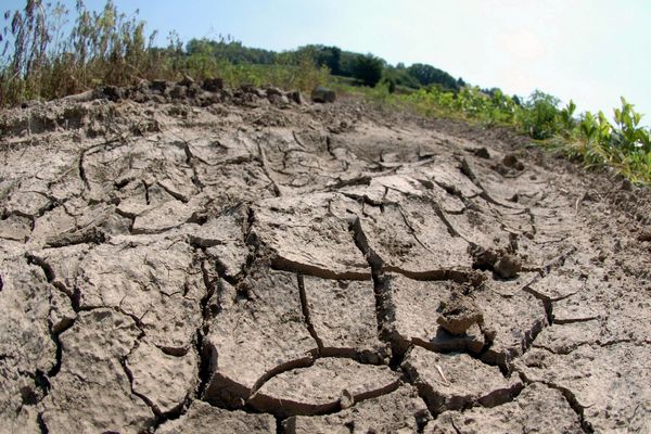 La sécheresse a sévi a particulièrement sévi en 2020 en Isère. Photo d'archives.