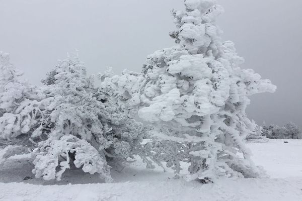 Mont-Aigoual, le 1er décembre 2017