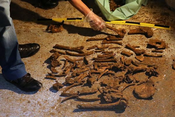 Les ossements humains retrouvés dans une cave de la rue Voltaire à Lille. 