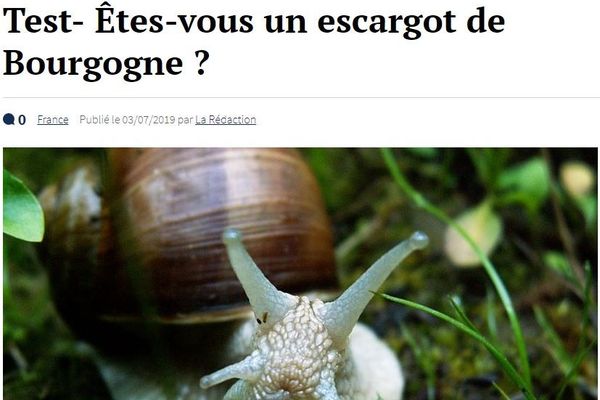 Test Le Gorafi  êtes-vous un escargot de bourgogne ?