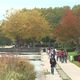 La Picardie aux couleurs de l'automne