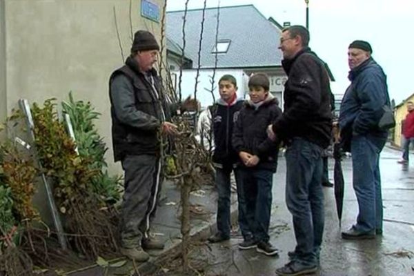 Ce dimanche à la Sainte-Catherine à Briouze c'était la foire aux arbres