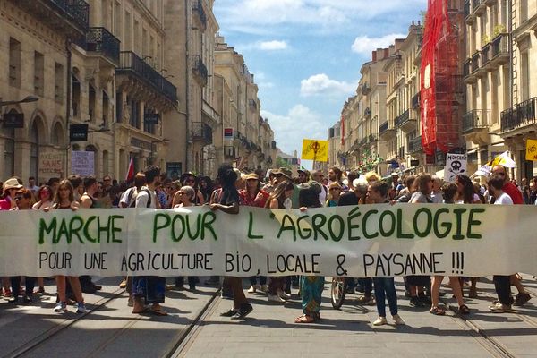 Plus de 300 personnes ont participé à la 6e marche mondiale contre Monsanto à Bordeaux, le samedi 19 mai 2018. 