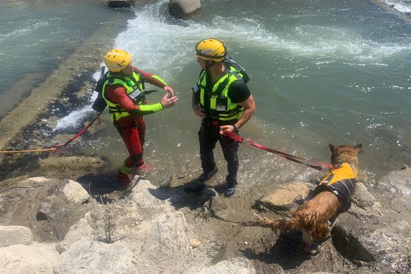 Les sauveteurs spécialisés en cynotechnique sont aidés par des chiens pour localiser des victimes inconscientes (ici le 13 juin à Comps dans le Gard)