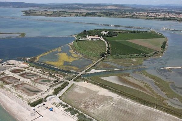 Entre étangs et mer, le lido au large de la cathédrale de Villeneuve-lès-Maguelone.
