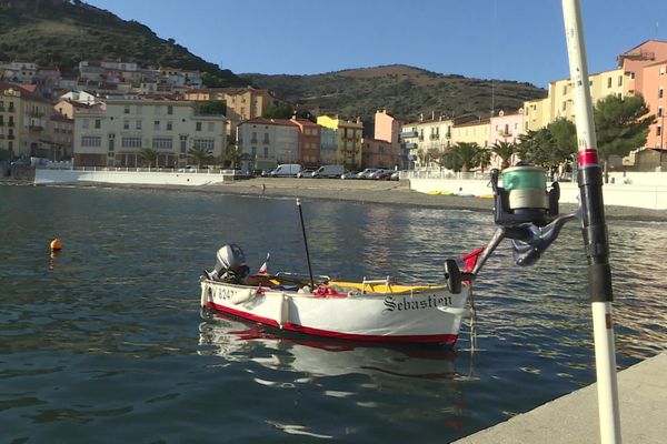 La réserve marine de Cerbère-Banyuls devrait voir sa superficie doubler par le Conseil départemental d'ici deux à trois ans. Un projet qui inquiète les pêcheurs de loisir de Cerbère