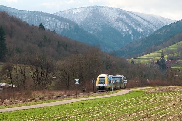 La ligne Colmar-Metzeral parcourt 24 kilomètres à travers la vallée de Munster.