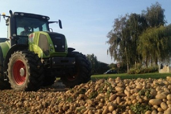 Les maraîchers de Saint-Malo ont déversé des tonnes de pommes de terre