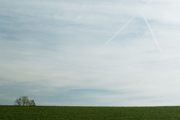 Point de vue image du monde : un ciel nuageux avec un arbre lointain