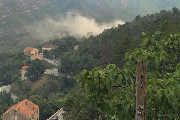 Feu à Venaco, le 17 août 2015