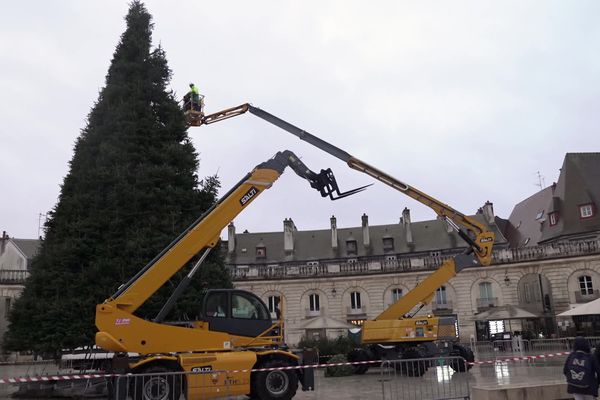 Les 360 sapins qui composent la fameuse structure de la Place de la Libération à Dijon seront disposé tout autour du parcours de la Saint-Vincent-Tournante 2025