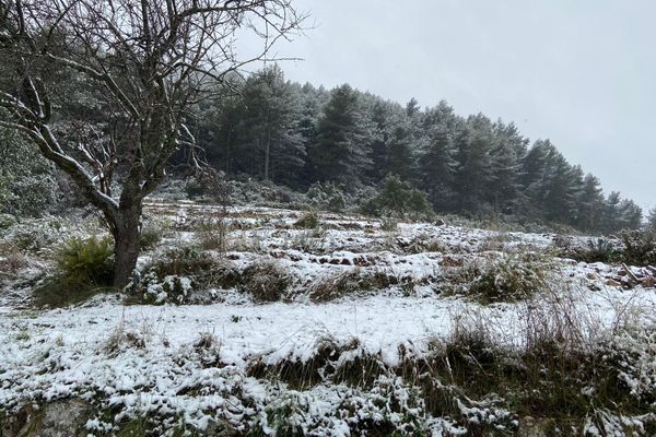 Dans les Bouches-du-Rhône, la neige est tombée toute la journée.