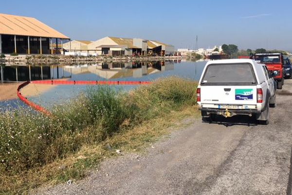 Ce jeudi matin, les pompiers interviennent toujours pour une pollution blanchâtre sur le canal route de Sète à Frontignan - 21 juin 2018