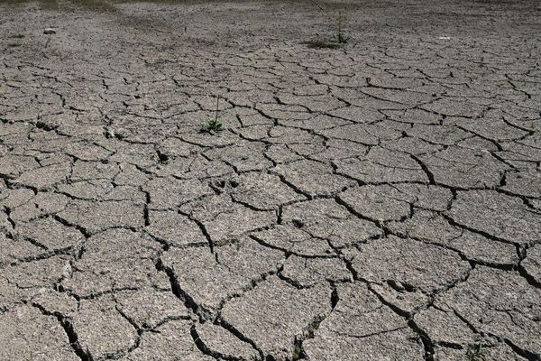 La sécheresse de 2018 est considérée comme la plus importante depuis celle de 1976.