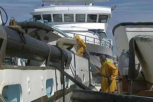 Sète (Hérault) - les thoniers préparent les bateaux et leur campagne de pêche au thon rouge - mai 2014.