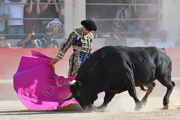 Penedor dans la cape de Domingo López Chaves. Alès, 27 mai 2017