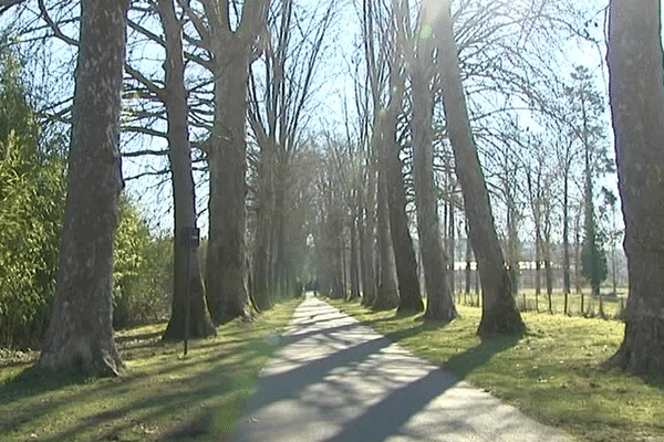 Les zones rurales sont aussi sensibles aux forts taux de pollution.