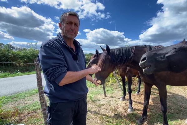 Emmanuel, éleveur de chevaux, a déjà subi une attaque en 2017.