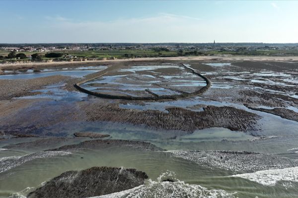 Découverte des écluses à poissons de l'île de Ré