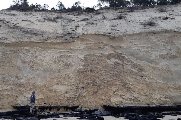 Après les marées à fort coefficient de la semaine, l'érosion est important sur le pourtour de la Dune du Pilat.