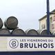 Les vignerons du Brulhois sont placés en procédure de sauvegarde.