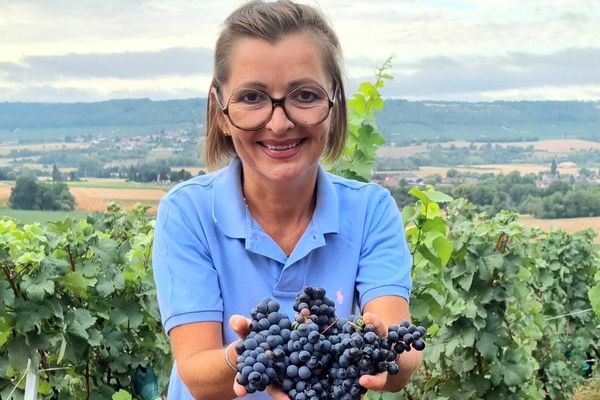 Anna Météyer lors des vendanges 2022.