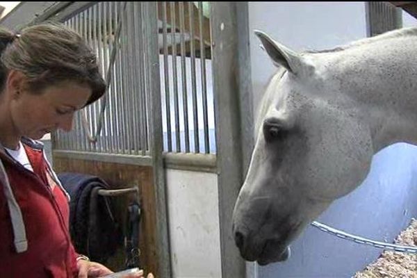 Le cheval va rester en France et ne sera pas vendu aux enchères.