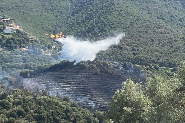 Deux canadairs se sont rendus sur place.