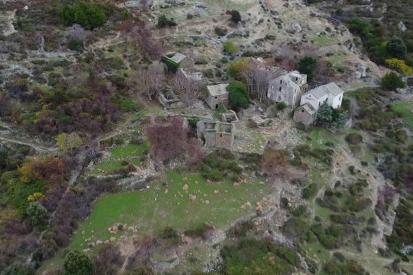 Le village de Canari.