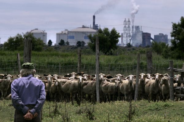 Le Golfe de Fos-sur-Mer est entouré de près de 15 sites industriels classés Seveso