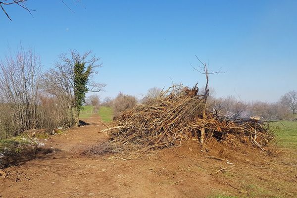 Arrachage de haies dans le secteur du Valdahon en infraction avec la réglementation Natura 2000