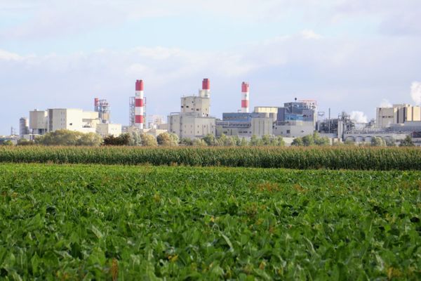 Le site de Roquette, à Lestrem.