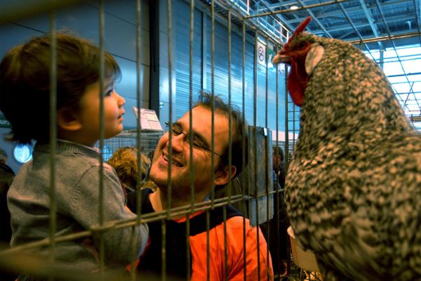 Ne manquez pas le grand salon de l'aviculture dans l'Eure ce week-end !