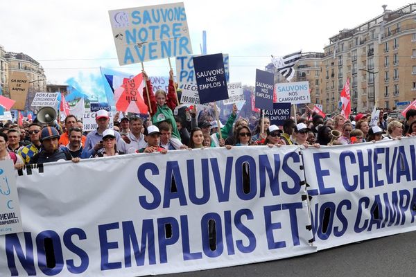 Manifestation du monde du cheval ce mercredi à Paris