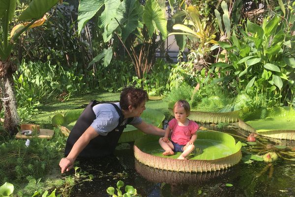 La petite Alice ne semble pas très rassurée sur son nénuphar.